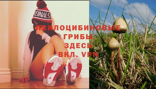 тгк Михайлов