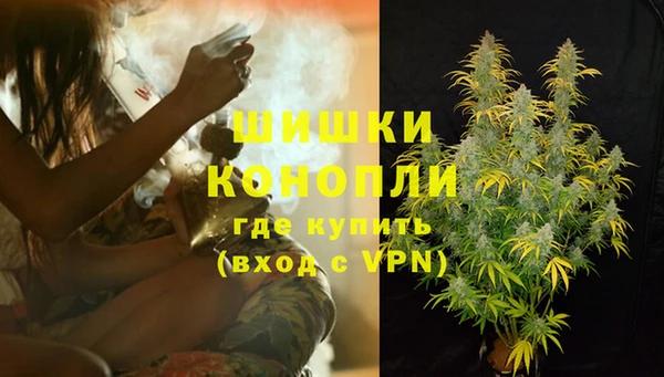 гашик Михайловск