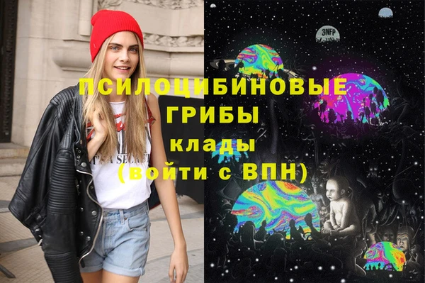 apvp Михайловка