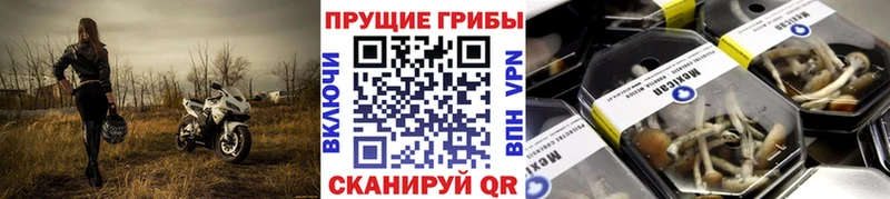 Галлюциногенные грибы прущие грибы  гидра ССЫЛКА  Дмитровск  что такое  